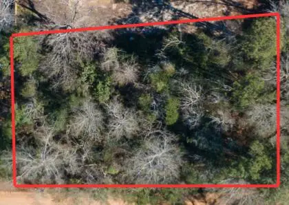 449 Harlem Street, New Ellenton, SC 29809 - #1