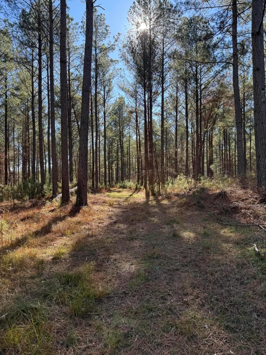 0 L R White Road, Plum Branch, SC 29845 - #3
