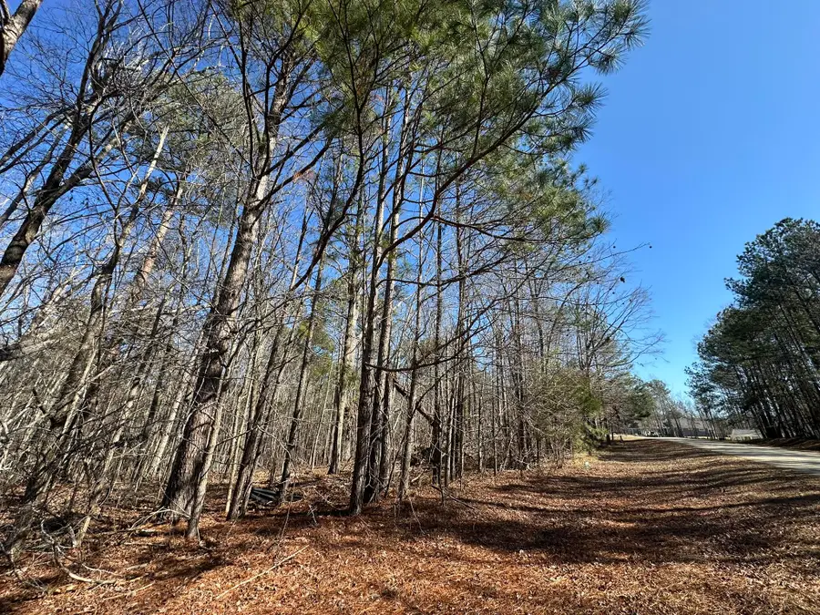 117 Cumberland Drive, McCormick, SC 29835 - #2