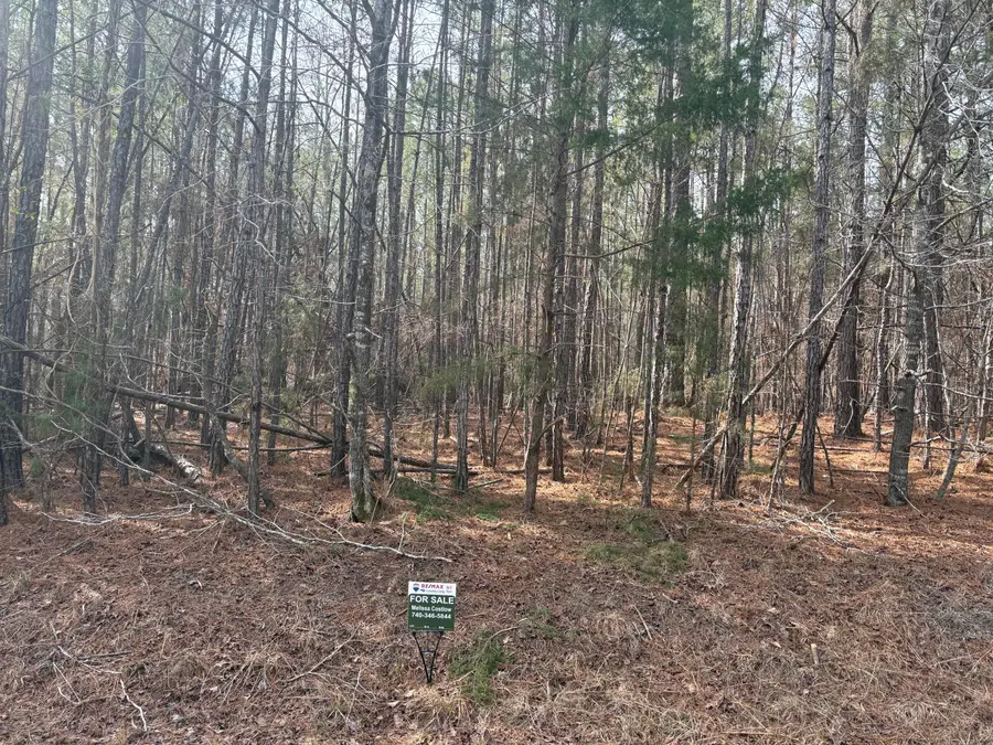 Block 72 Lot 12, McCormick, SC 29835 - #2