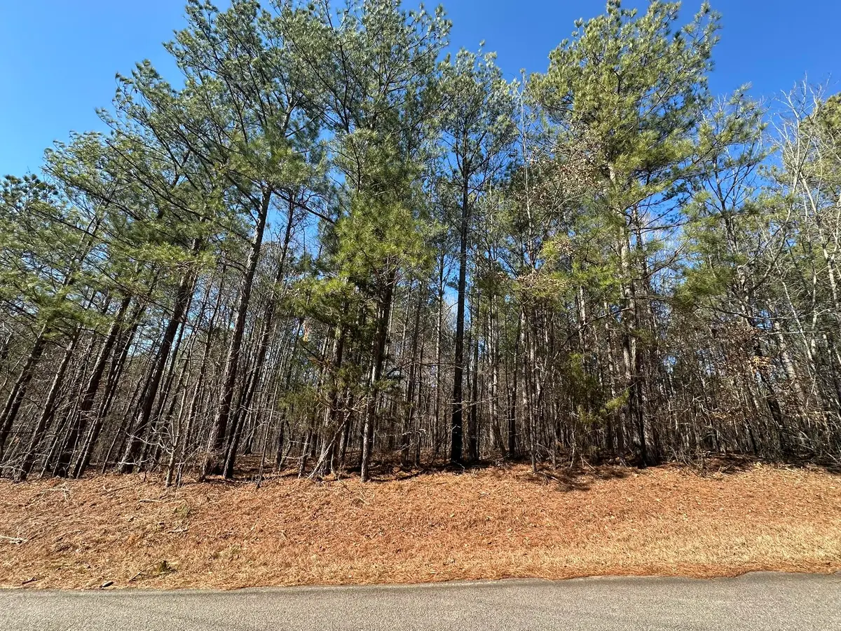 Lot 31 Willow Way, Lincolnton, GA 30817 - #1