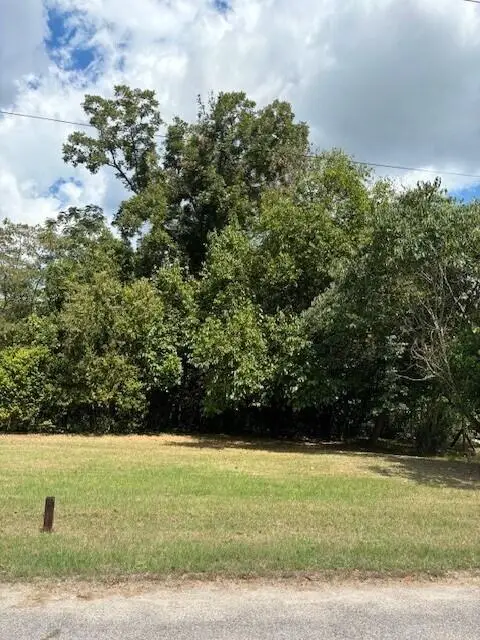 1643 Saint Luke Street, Augusta, GA 30904 - #1