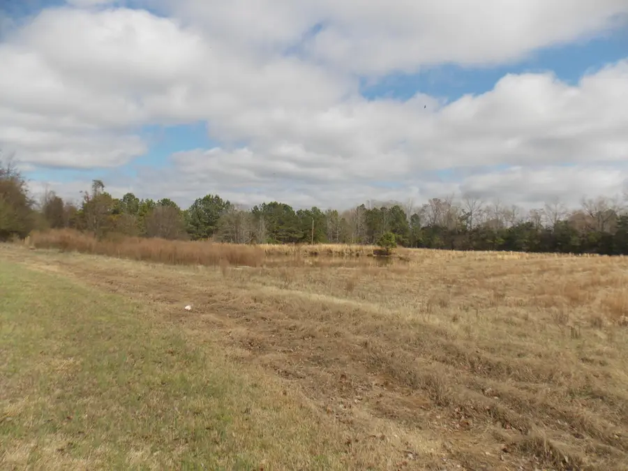 4232 Double Branches Road, Lincolnton, GA 30817 - #2