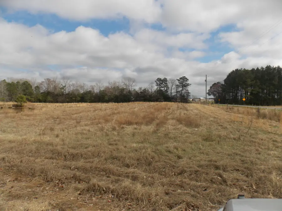 4232 Double Branches Road, Lincolnton, GA 30817 - #3