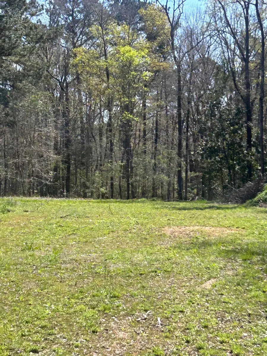 5824 NE Lincolnton Road, Thomson, GA 30824 - #2