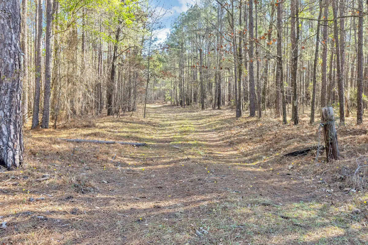 000 Banks Mill Road, Aiken, SC 29803 - #1
