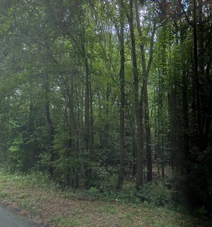 2a Bradleyville Lane, North Augusta, SC 29841 - #1