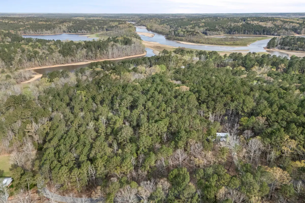 0 Lbk Circle, Tignall, GA 30668 - #1