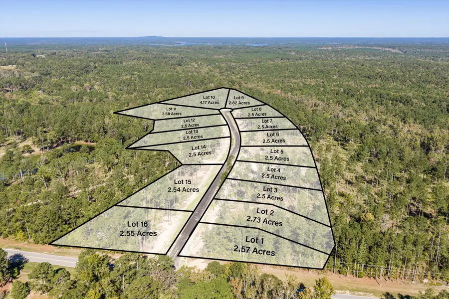 158 Beagle Chase Drive, Appling, GA 30802 - #2
