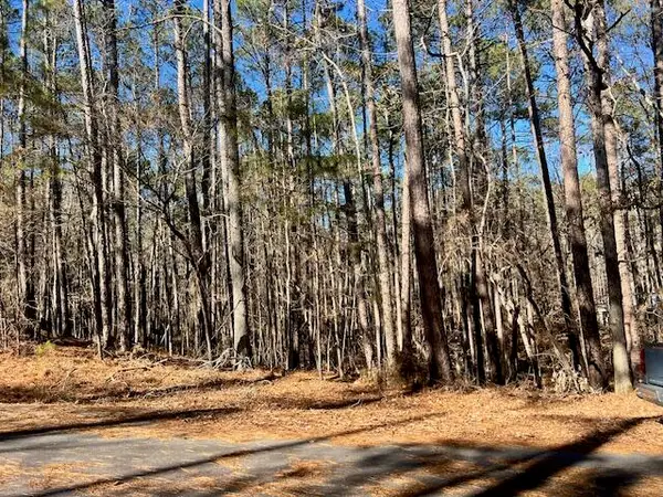 0 Oconee Lane, McCormick, SC 29835