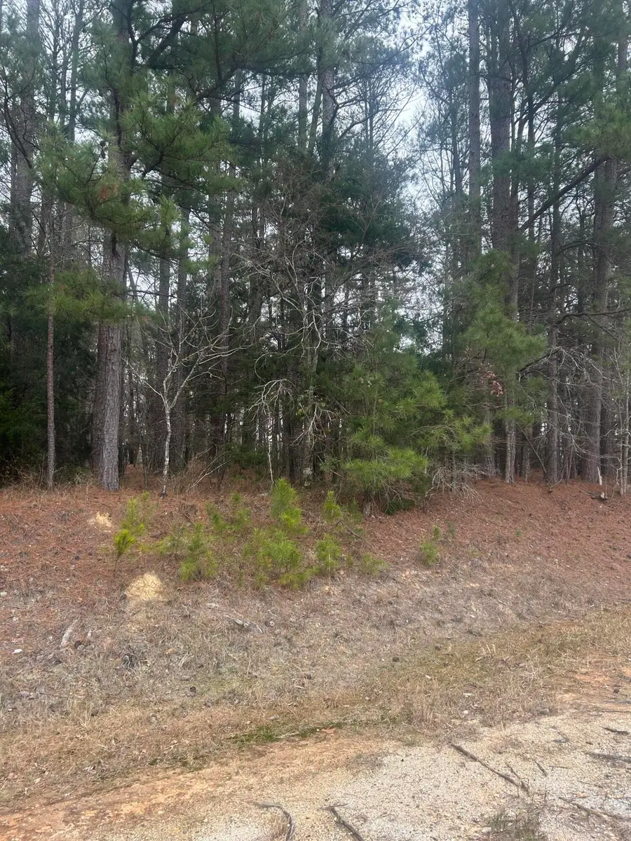 16.9 Ac Hwy 220 E, Lincolnton, GA 30817 - #2