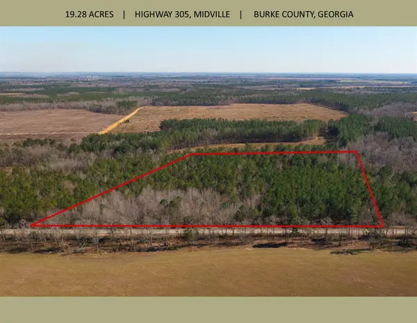 19.3 Acres Ga-305, Midville, GA 30441