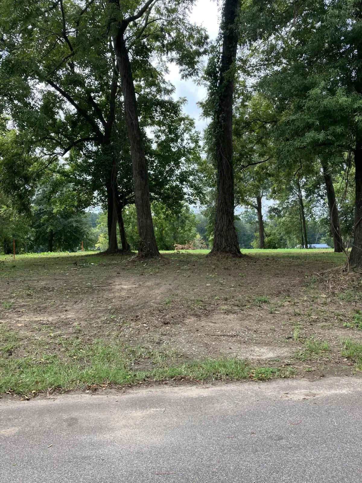 165 River Bend Drive, Clarks Hill, SC 29821 - #1