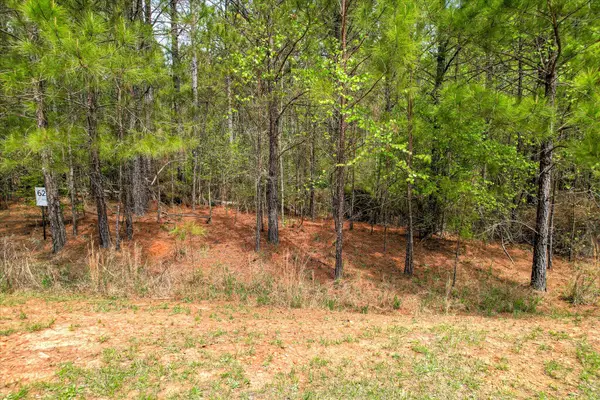 1048 Longleaf Way, Lincolnton, GA 30817