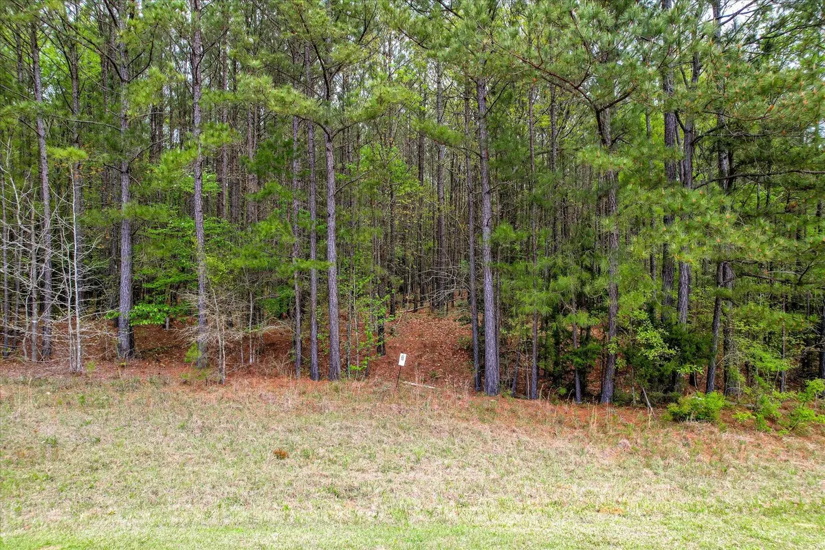 1066 Clinton-williams Road, Lincolnton, GA 30817 - #1