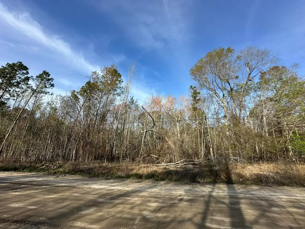 Lot 12 Robin Boulevard, Swainsboro, GA 30401 - #1