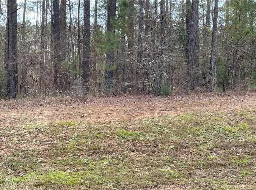 N-63 Eutaw Springs Trail, North Augusta, SC 29860 - #1