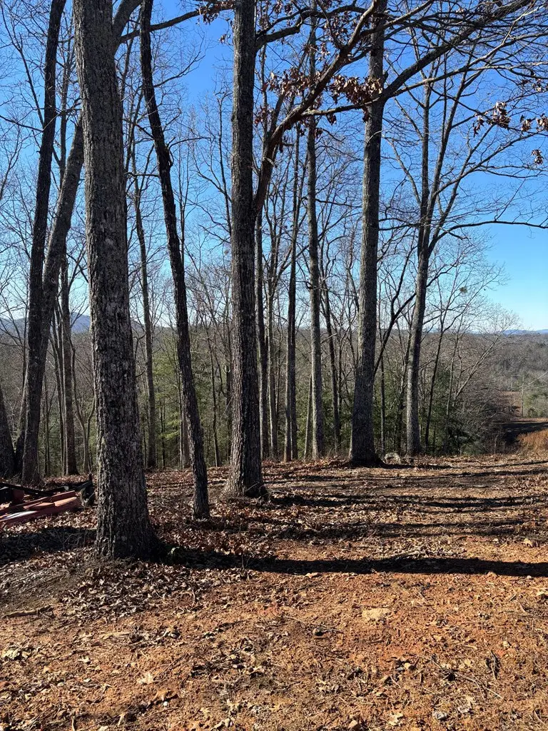 Lot 64 Thundering Hill, Murphy, NC 28906 - #2