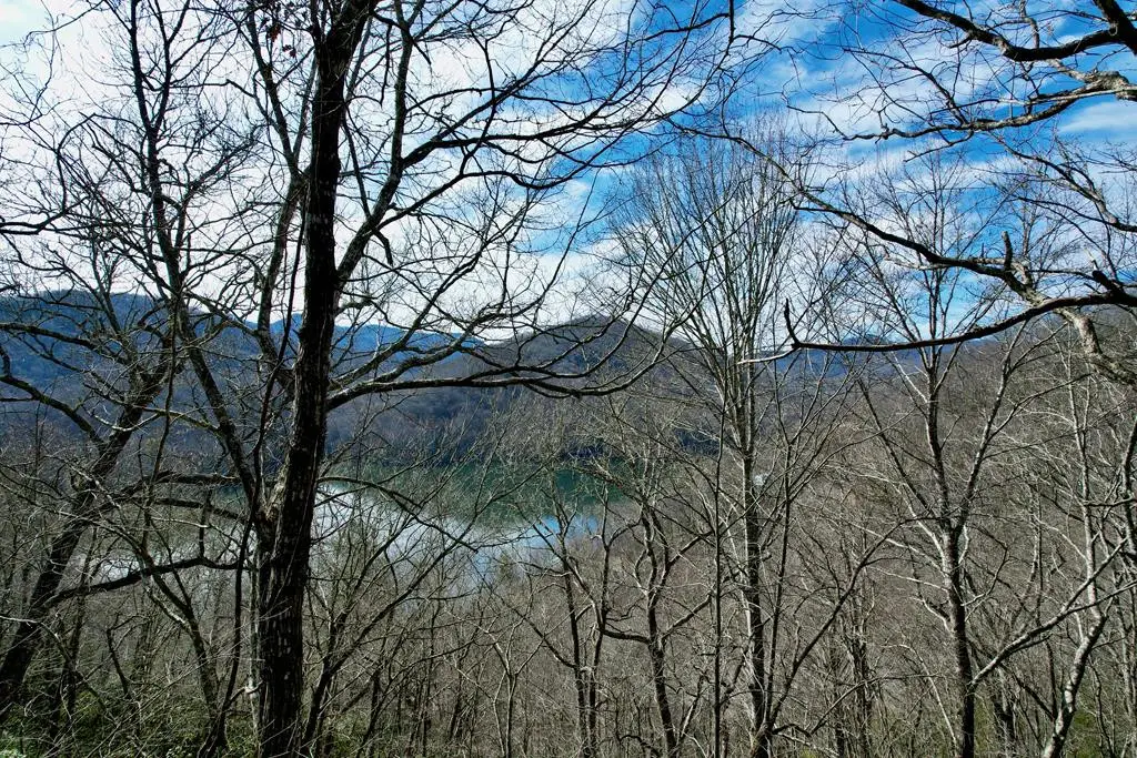 Lot 14 Holly Ridge Road, Nantahala, NC 28781 - #1