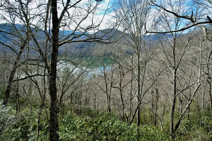 Lot 14 Holly Ridge Road, Nantahala, NC 28781 - #2