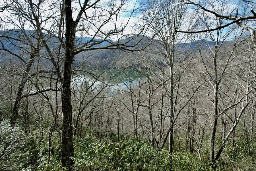 Lot 14 Holly Ridge Road, Nantahala, NC 28781 - #3