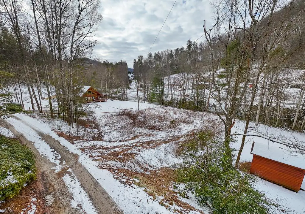 Lot 3 Riverview, Robbinsville, NC 28771 - #1
