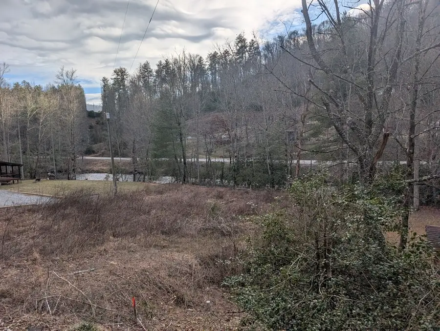 Lot 3 Riverview, Robbinsville, NC 28771 - #3