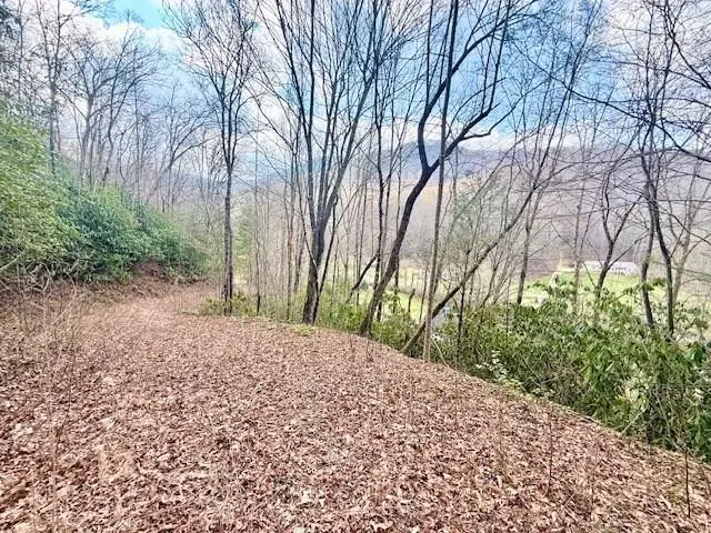 00 Beech Creek/ Little Hardwood, Robbinsville, NC 28771 - #1
