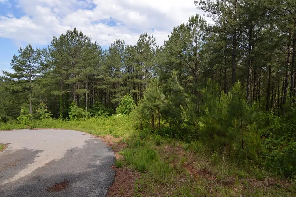 Address Withheld By Seller, Blairsville, GA 30512 - #1