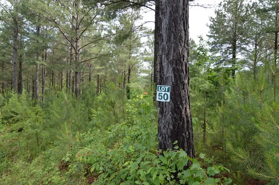 Address Withheld By Seller, Blairsville, GA 30512 - #3
