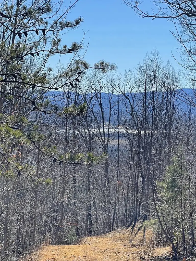 Lot #45J Knollwood, Hayesville, NC 28904 - #1