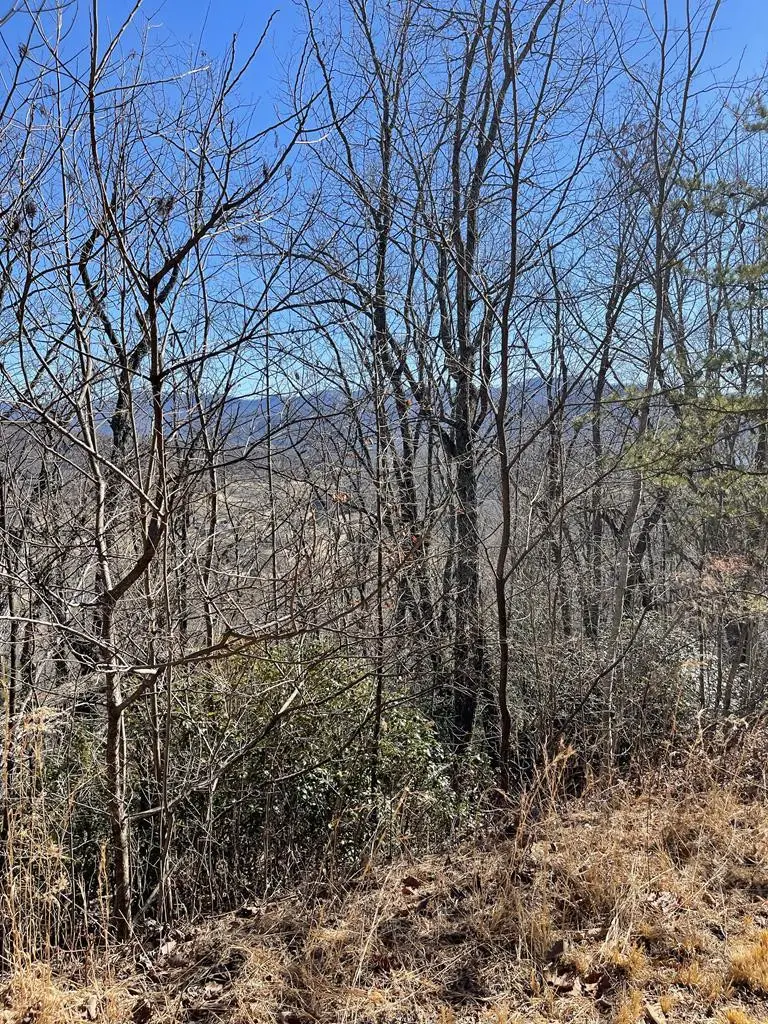 Lot #45J Knollwood, Hayesville, NC 28904 - #2