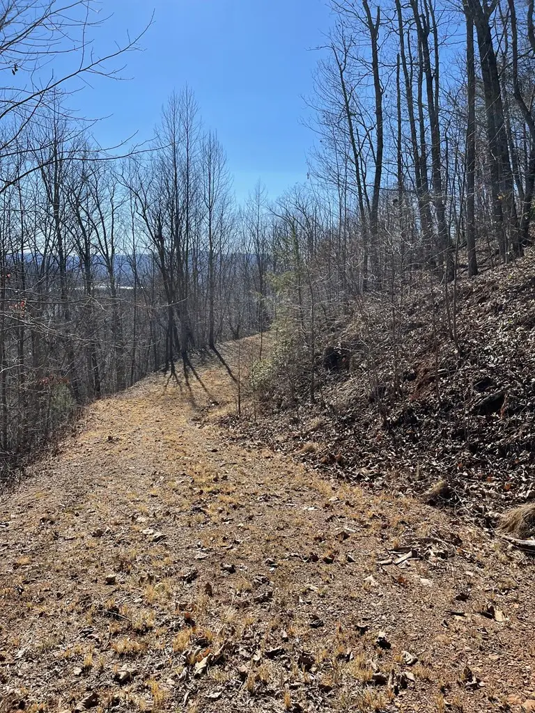 Lot #45J Knollwood, Hayesville, NC 28904 - #3