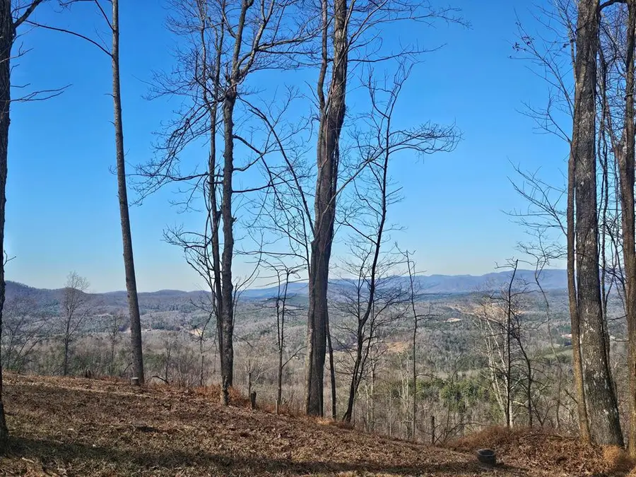 38 Trophy Buck Point, Murphy, NC 28906 - #3