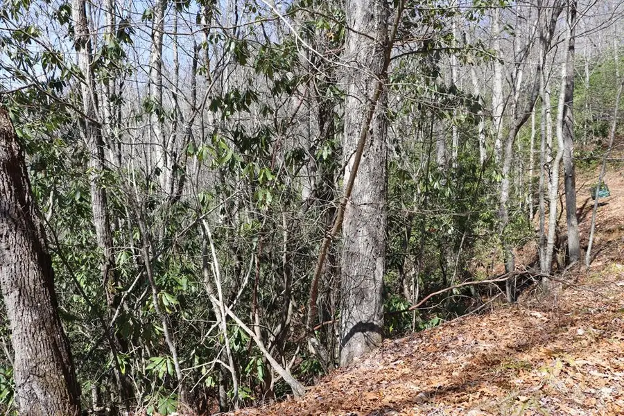 TBD Brandonwood Drive, Topton, NC 28781 - #2