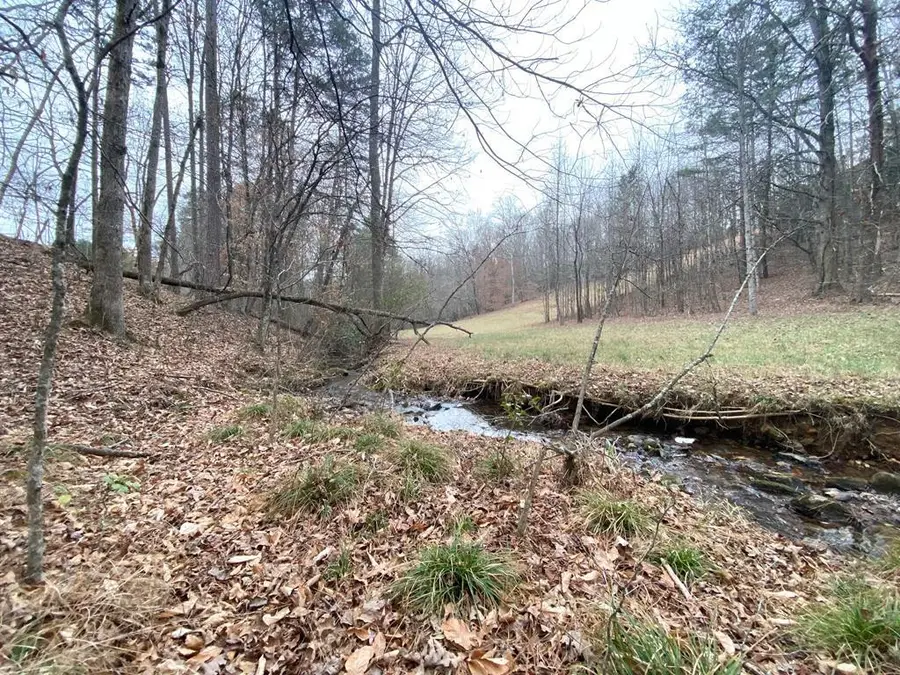 Lot 21 Broadleaf Lane, Murphy, NC 28906 - #2