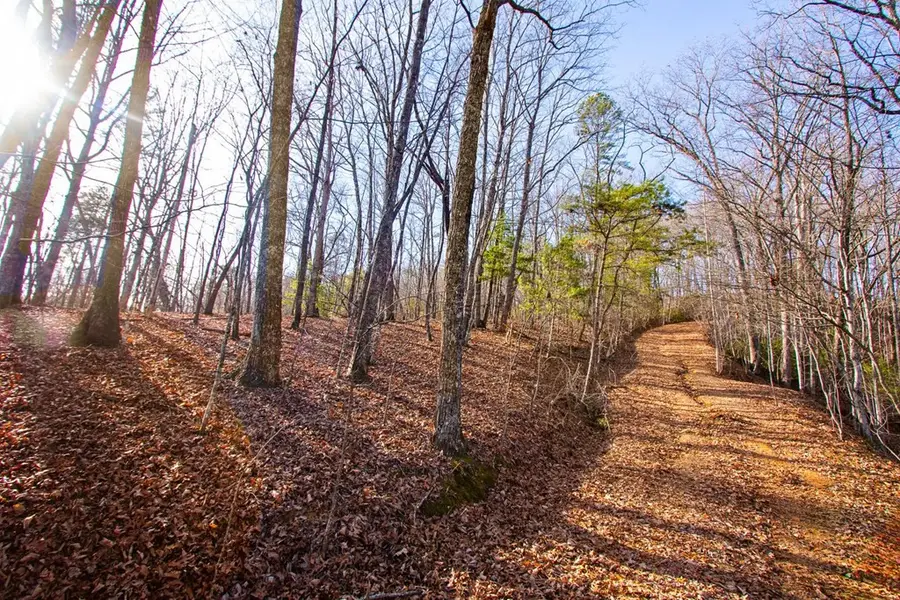 TBD W Hills, Murphy, NC 28906 - #2