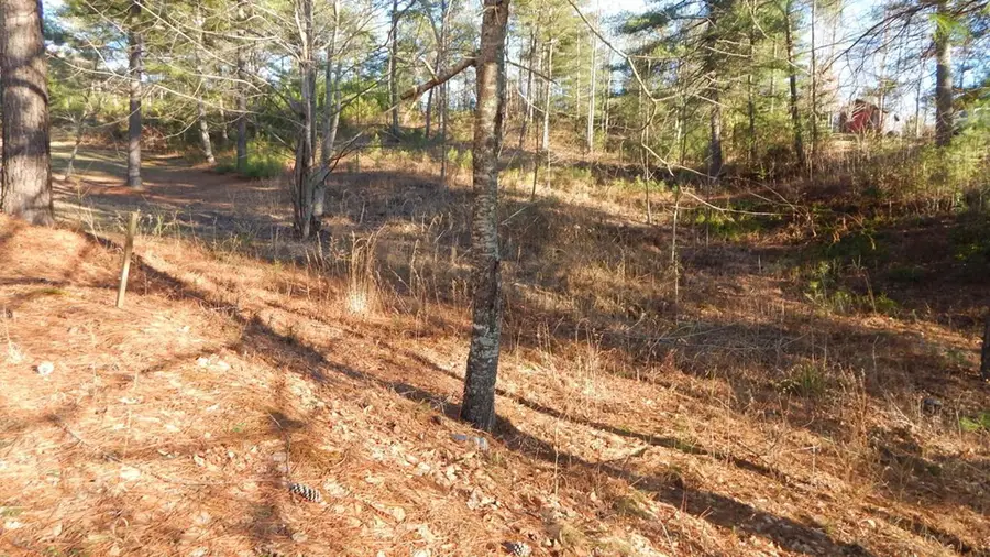 0 Walk Trail, Murphy, NC 28906 - #2