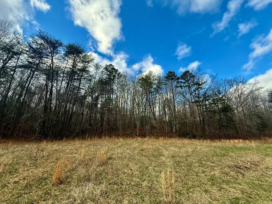 0 Cedar Springs Road, Turtletown, TN 37391 - #2