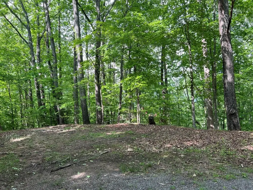Lot 26 Longview Ridge, Hayesville, NC 28904 - #1