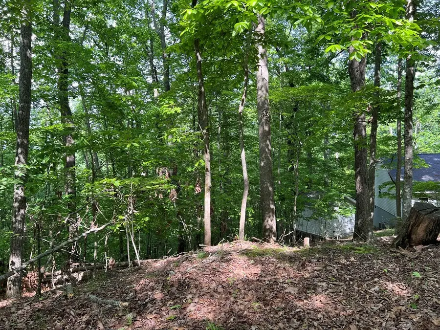 Lot 26 Longview Ridge, Hayesville, NC 28904 - #3
