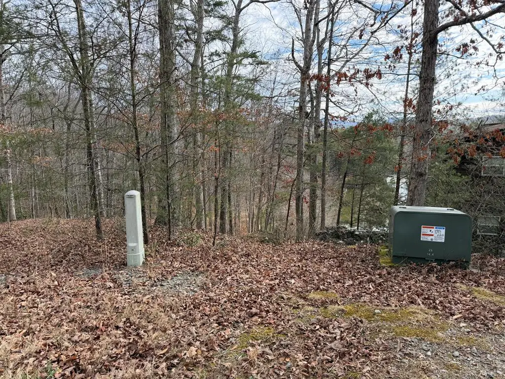 4, 5 &6 Mountain Wood Drive, Murphy, NC 28906 - #1