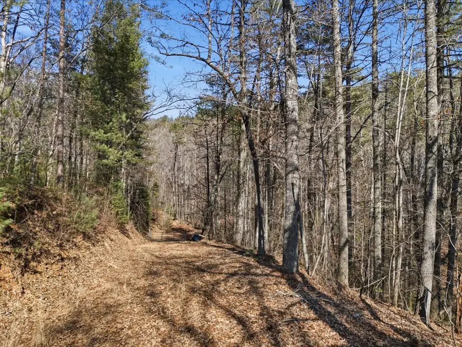 115 Crowe Mountain Lane, Murphy, NC 28906 - #3