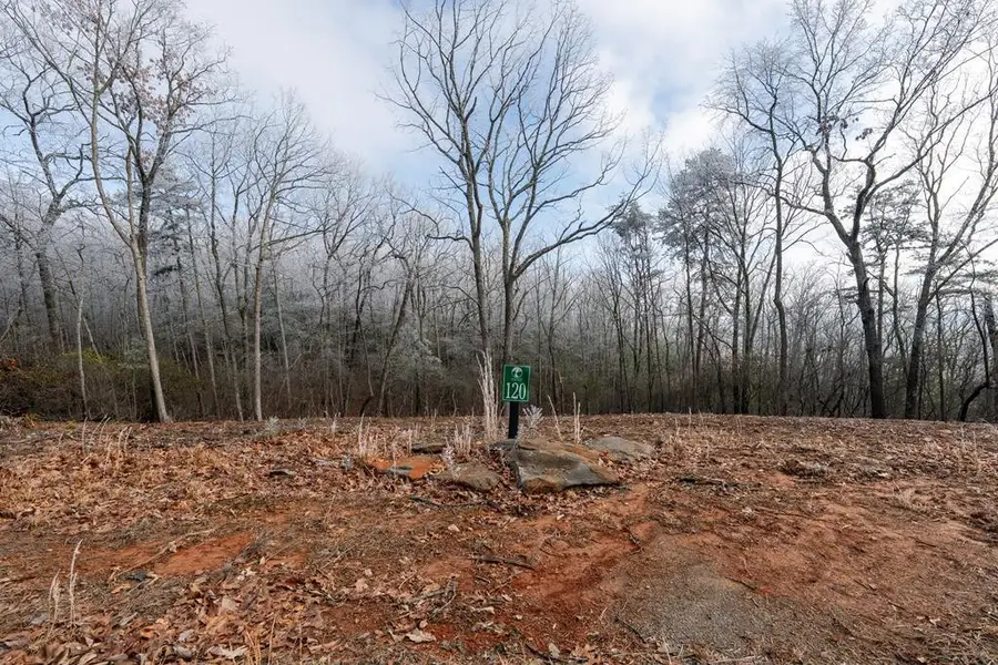 Lot 120 Serene Pond Trail, Murphy, NC 28906 - #3