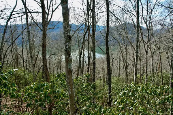 TBD Zimmerman / Holly Ridge Road, Nantahala, NC 28781