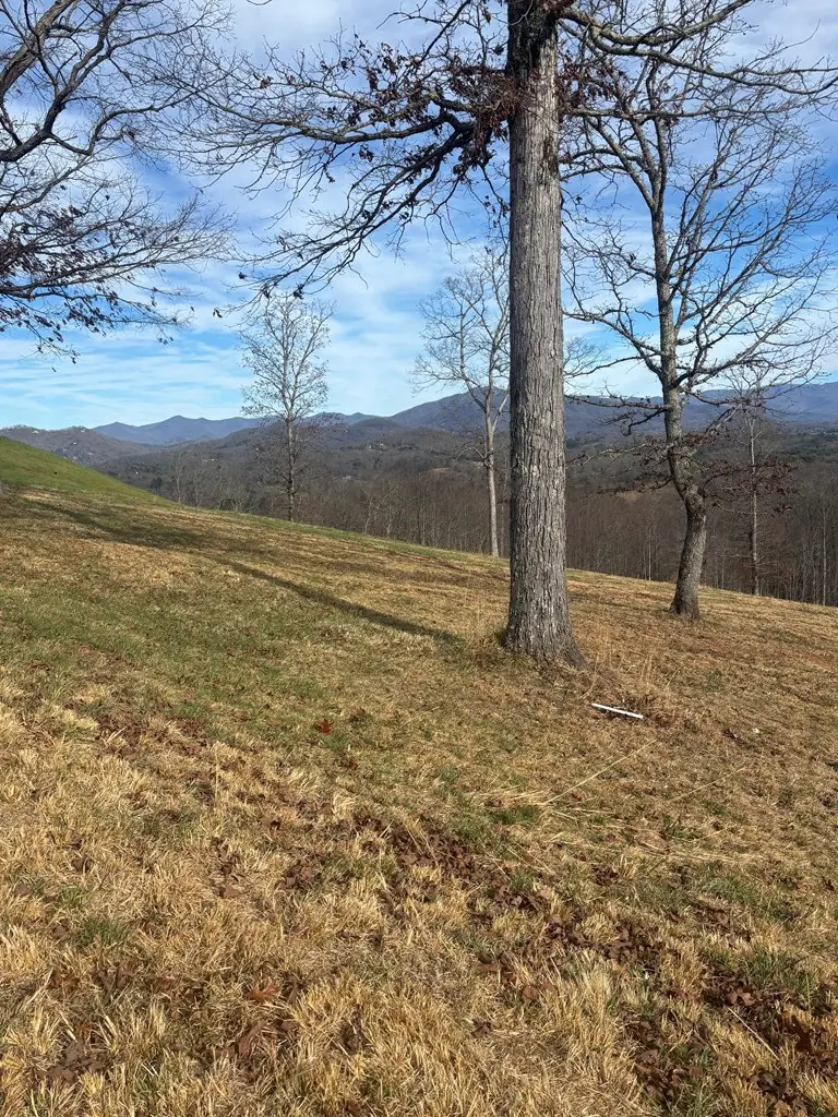 Lot 24 Jack, Hayesville, NC 28904 - #2