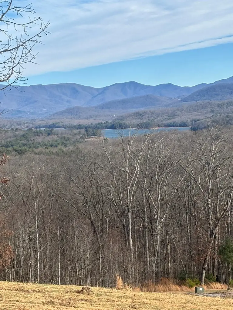 Lot 24 Jack, Hayesville, NC 28904 - #3