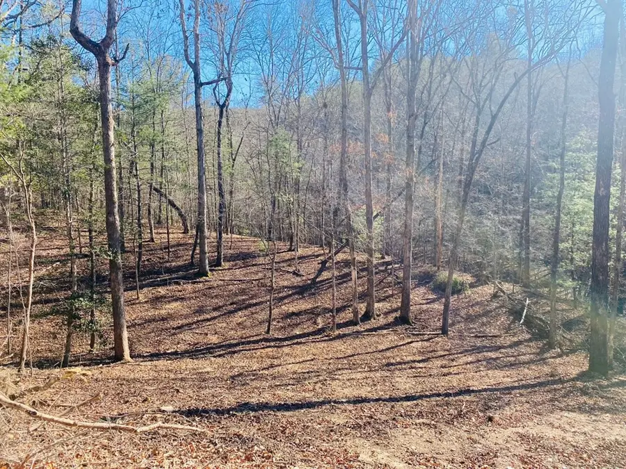 Lot 205 Windy Mountain Peak Lane, Murphy, NC 28906 - #2