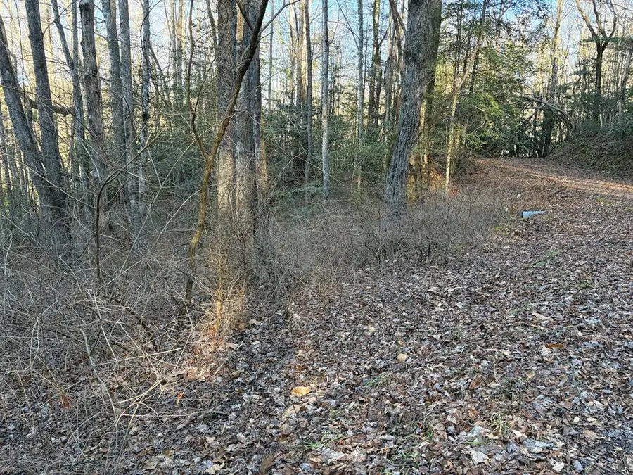 00 Choga Trail, Topton, NC 28781 - #2