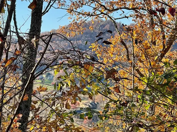 Lot 37M Ridges, Hayesville, NC 28904